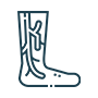 Varicose Vein Care